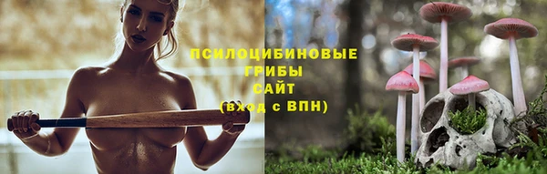каннабис Майский